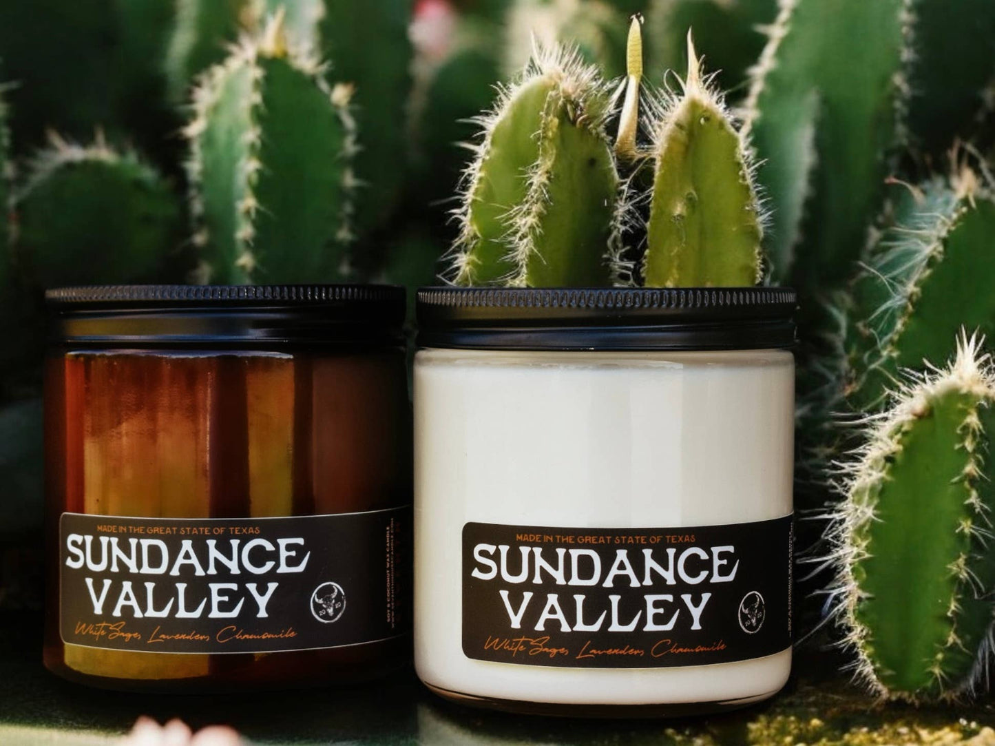 SUNDANCE VALLEY - Santal & Coconut Candle