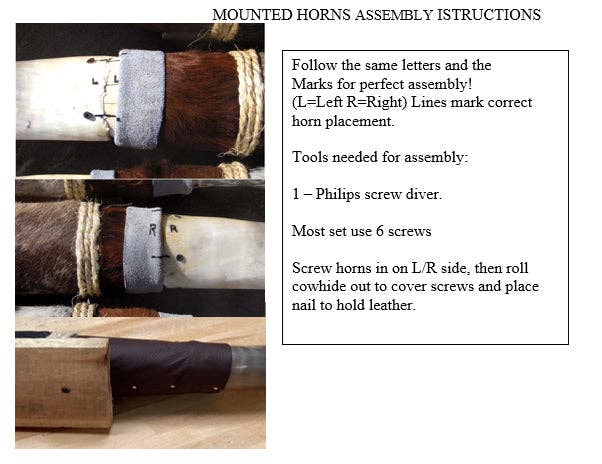 Polished Mounted Horns